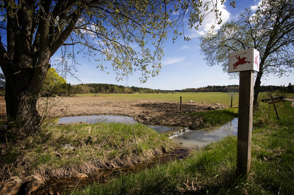 Igelbäcken rinner genom reservatet