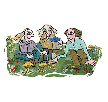 Illustrationer: Anna Windborne
