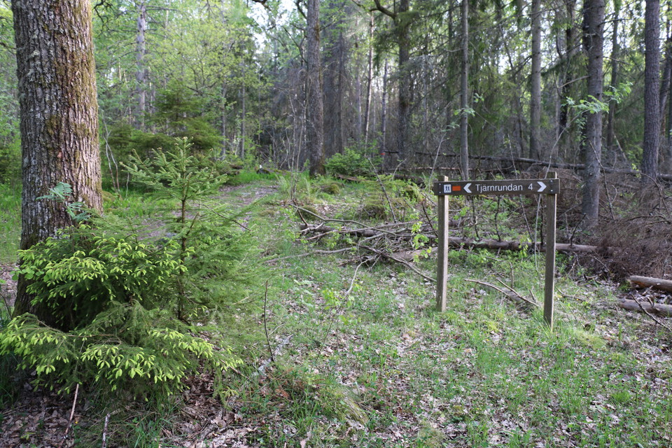 Träskyltar visar vägen längs leden.