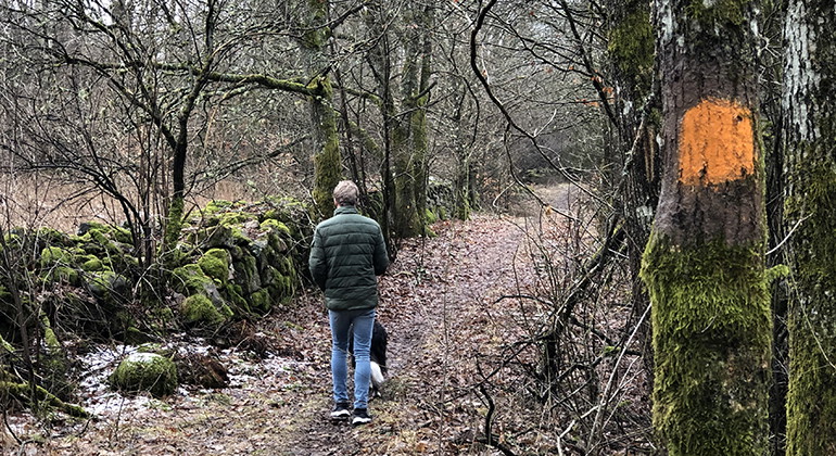 Skåneleden går delvis genom naturreservatet.