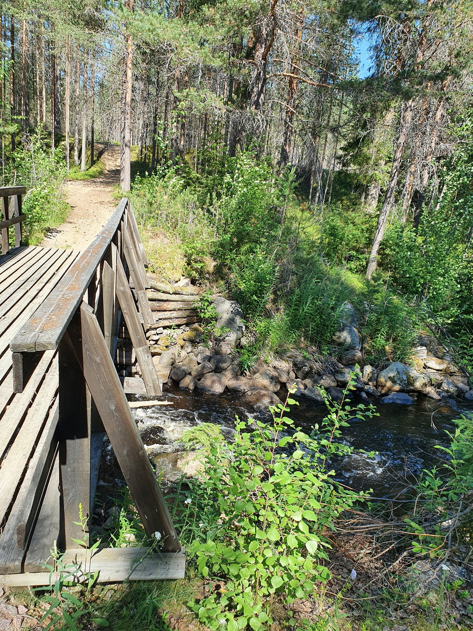 Bron över Spardammen