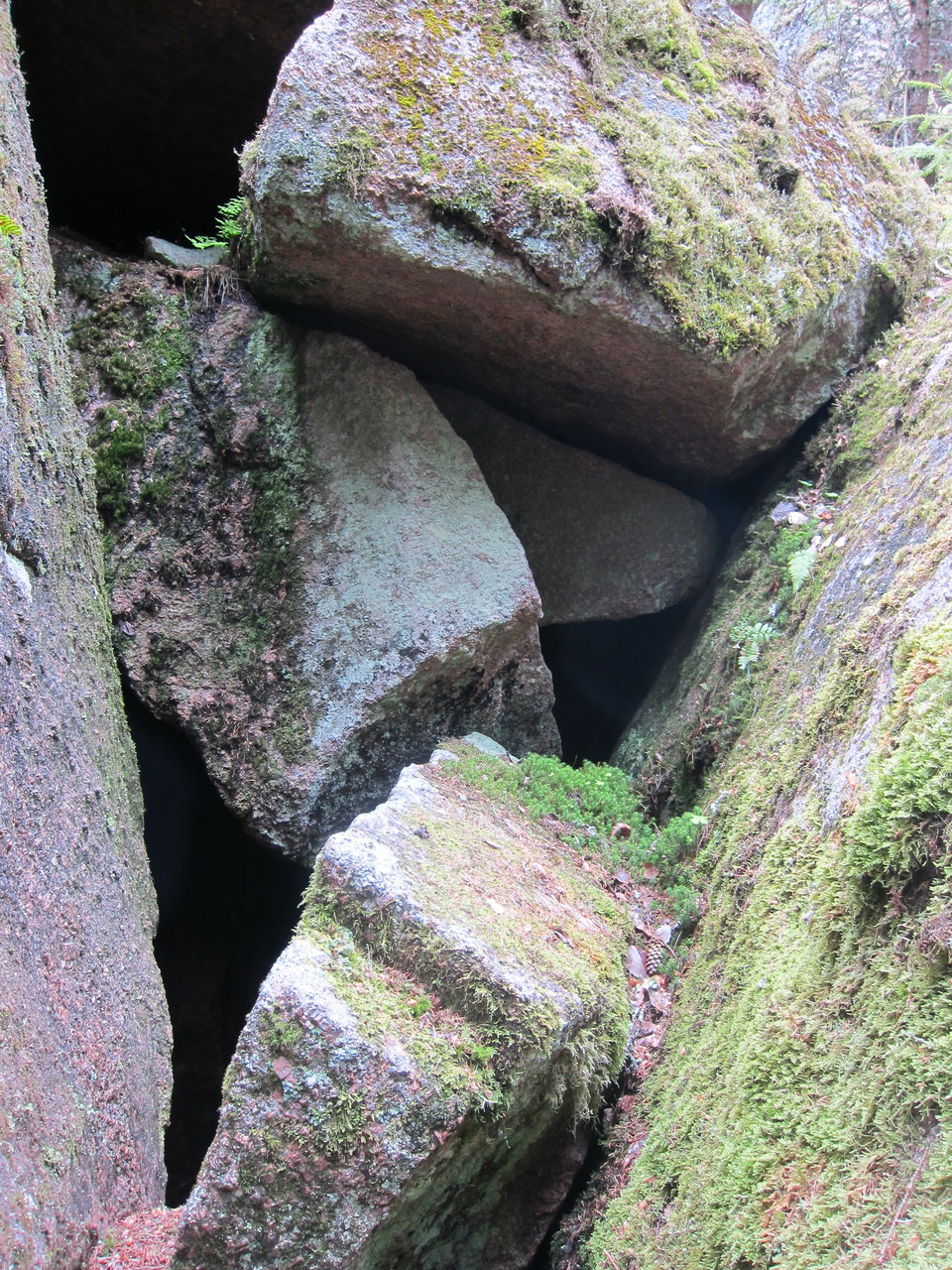 Klippskreva med flera stenblock.