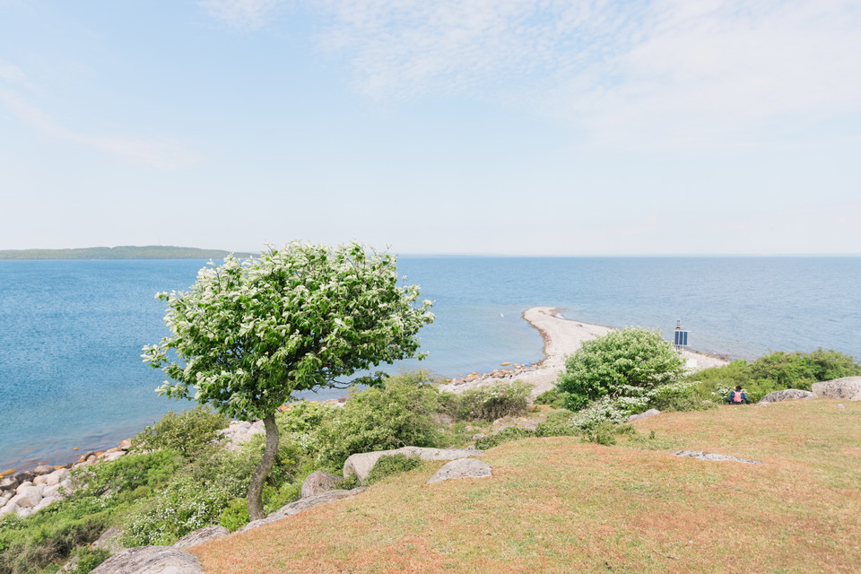 2 day adventure for active nature enthusiasts (bus+boat+hiking)| Sölvesborg - Listershuvud and Hanö