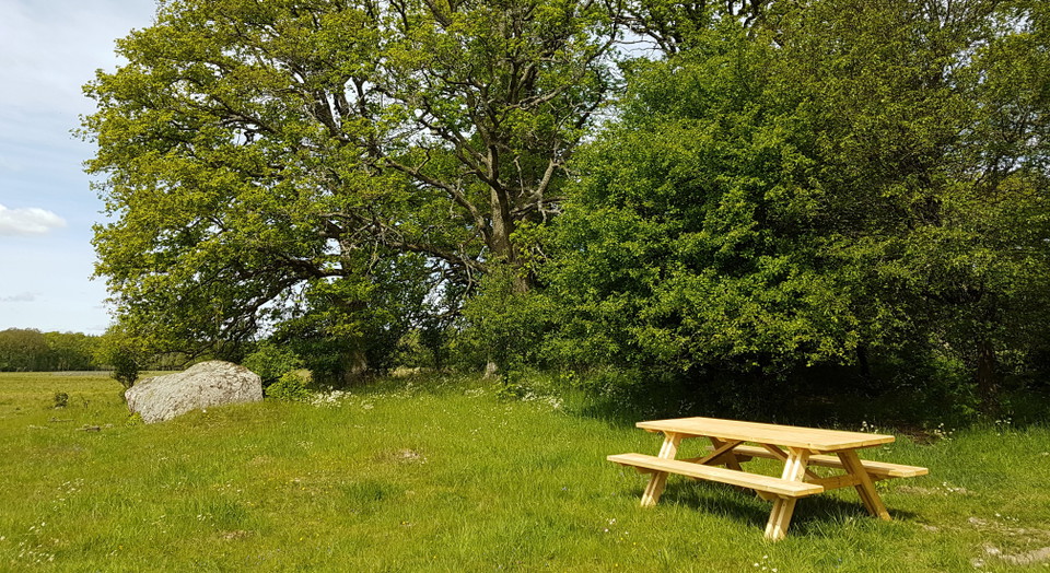 Ett picknickbord i trä som ser helt nytt ut, står på grönt gräs, några lövträd i bakgrunden.