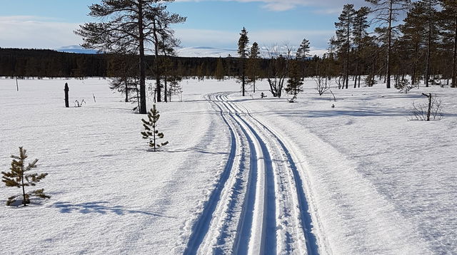 Motionsspår Persåsen 7 km