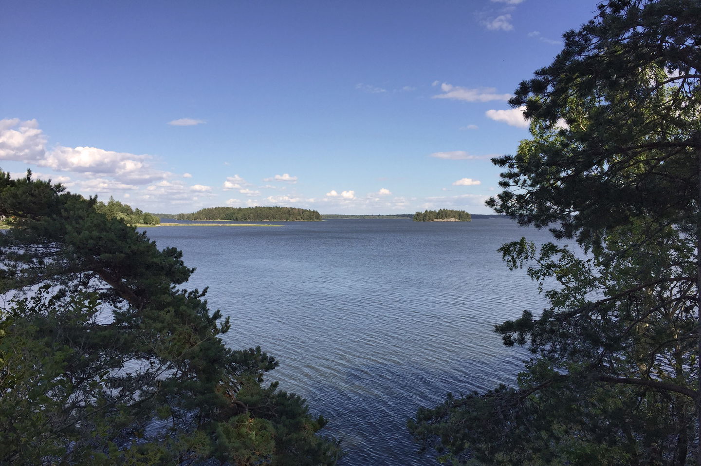 Utsikt över Mälaren från grillplatsen.