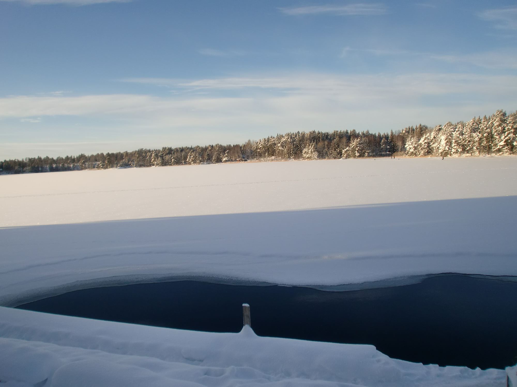 Vinterbastu Domarudden