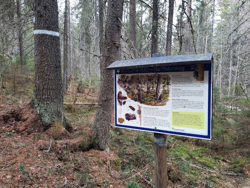 Ett biotopskydd passeras med intressant fauna.