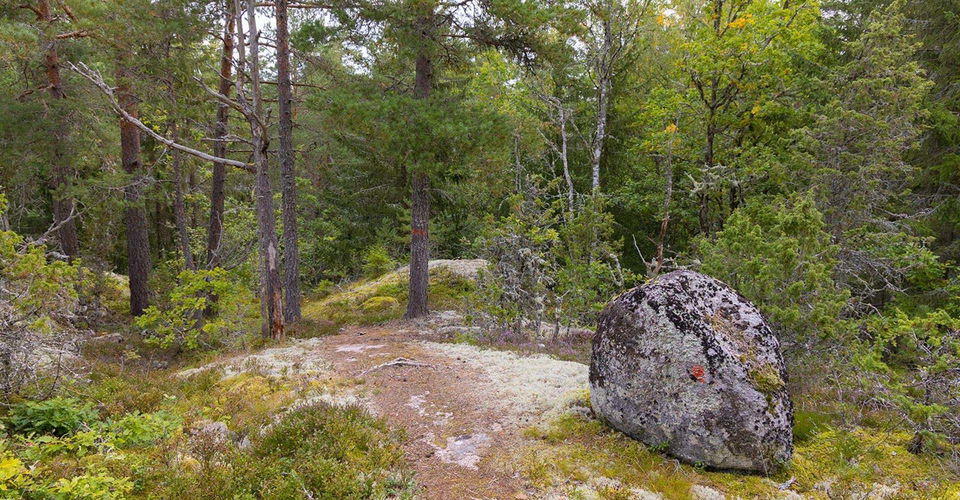 Etapp: Blåvik-Sundsudden