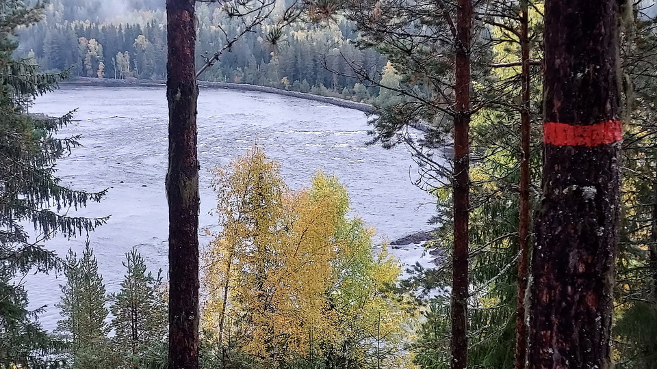 Flottarstigen vid Kölströmmen