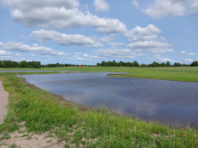 Smedby våtmark