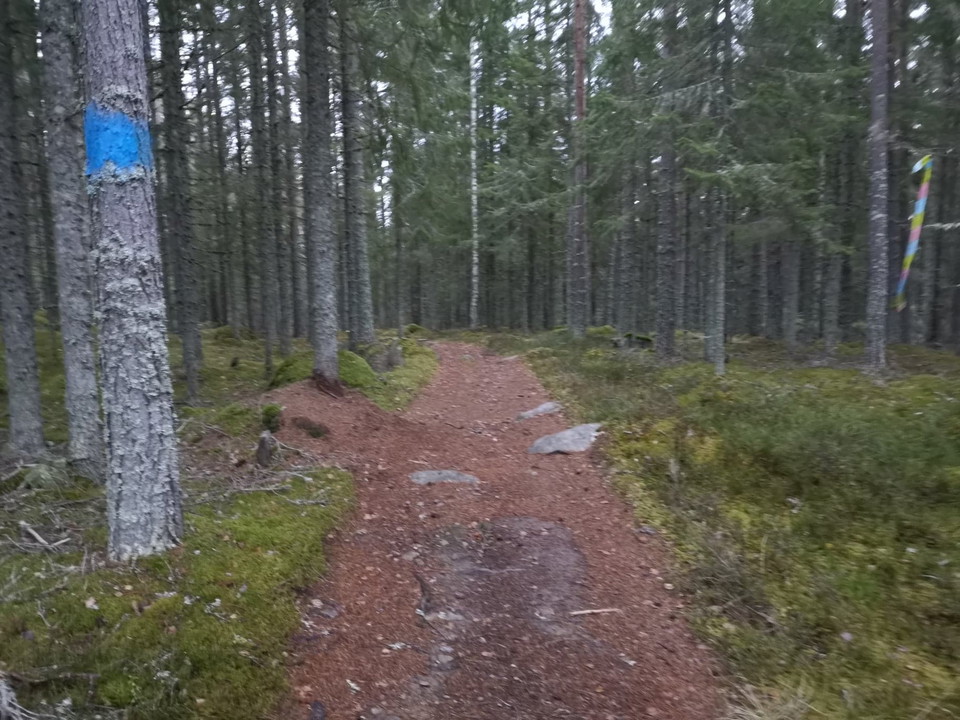 Bred och tydlig stig