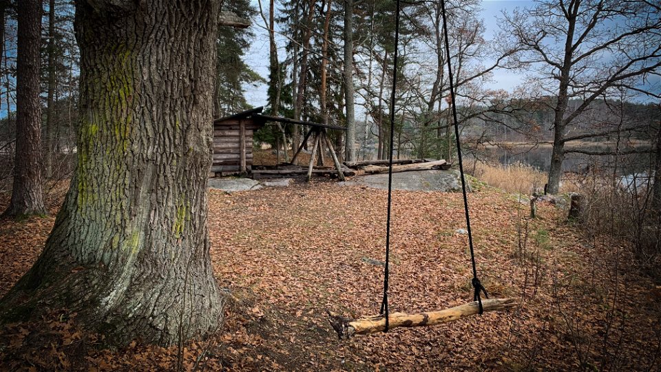 En gunga hänger från ett träd och i bakgrunden syns ett vindskydd och en grillplats.