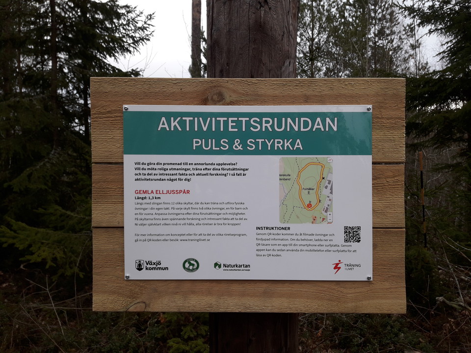 Aktivitetsrundan