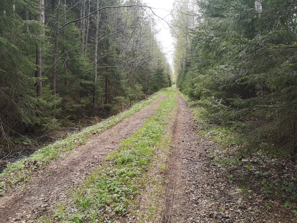 Fina cykelvänliga grusvägar