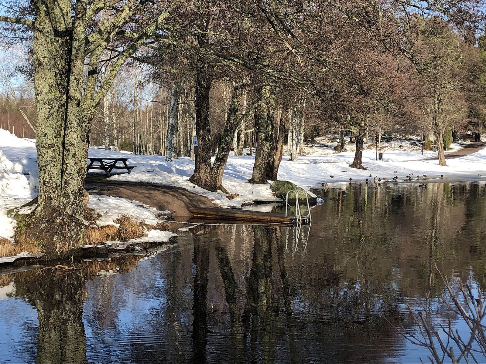 Vinterbad i Dammsjön, Högbo Bruk