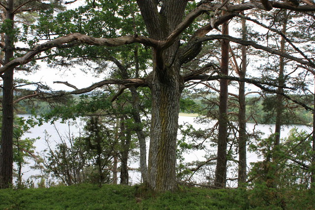 Vandringsled, Björkenäs