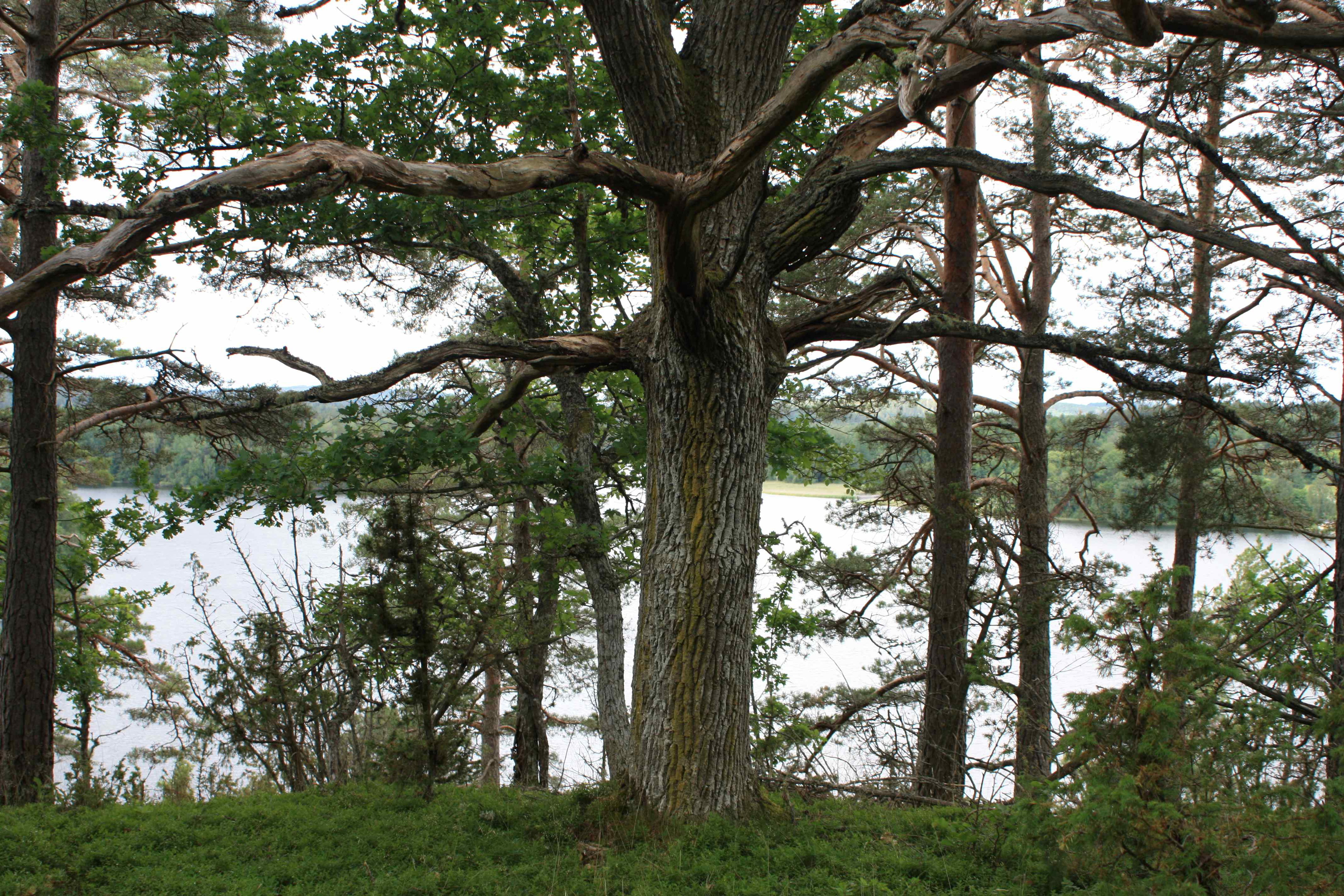 Wanderweg, Björkenäs