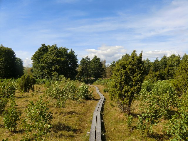 Blåmarkerad vandringsled