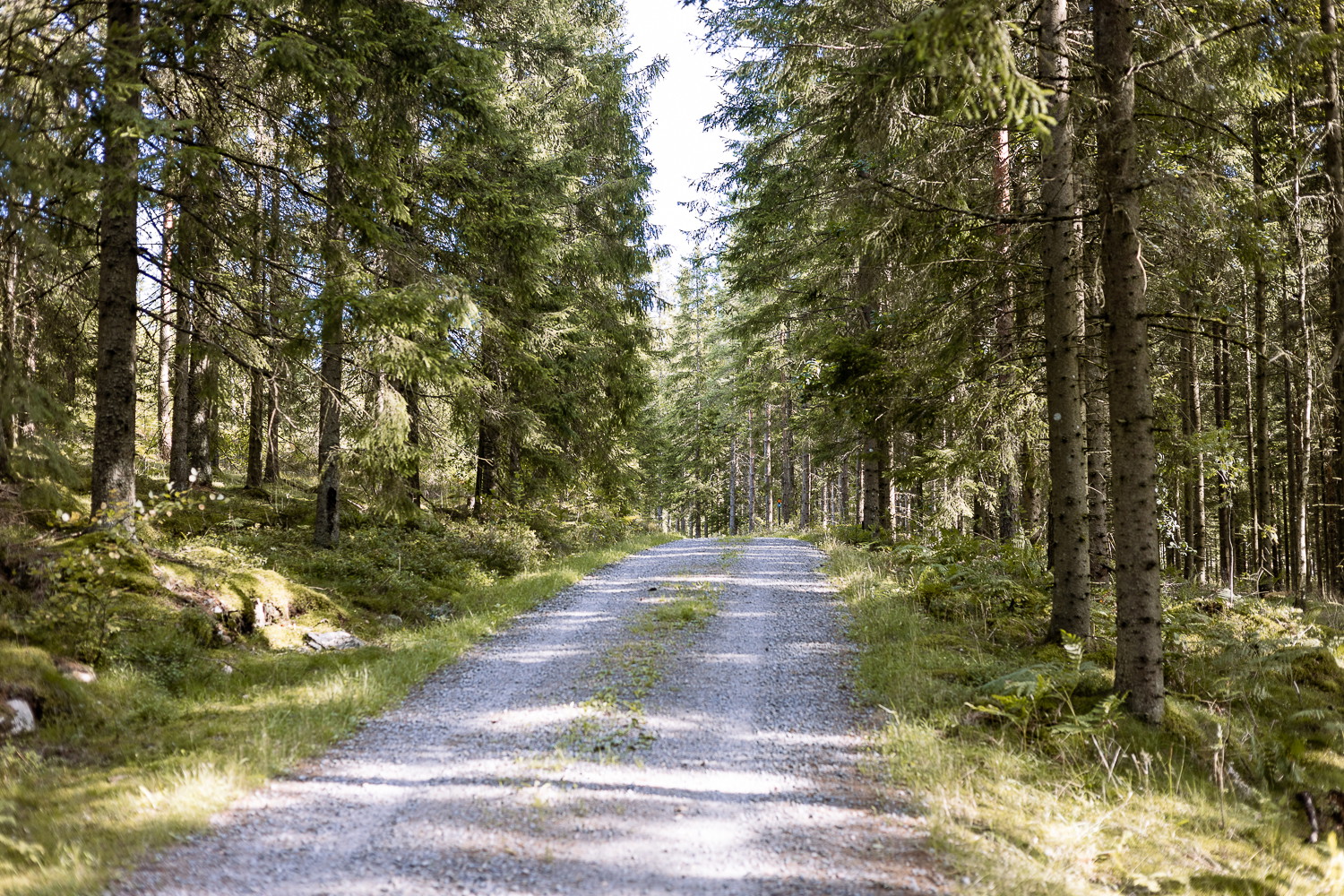 Gislavedsleden etapp G1 Hestra - Gislaved - En del av Smålandsleden