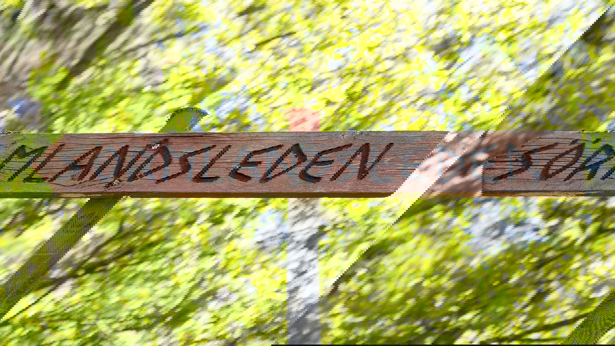 Björkhagen - Skogshyddan, Sörmlandsleden, etapp 1