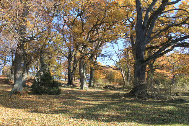 Ekhagen, Kungshamn-Morga