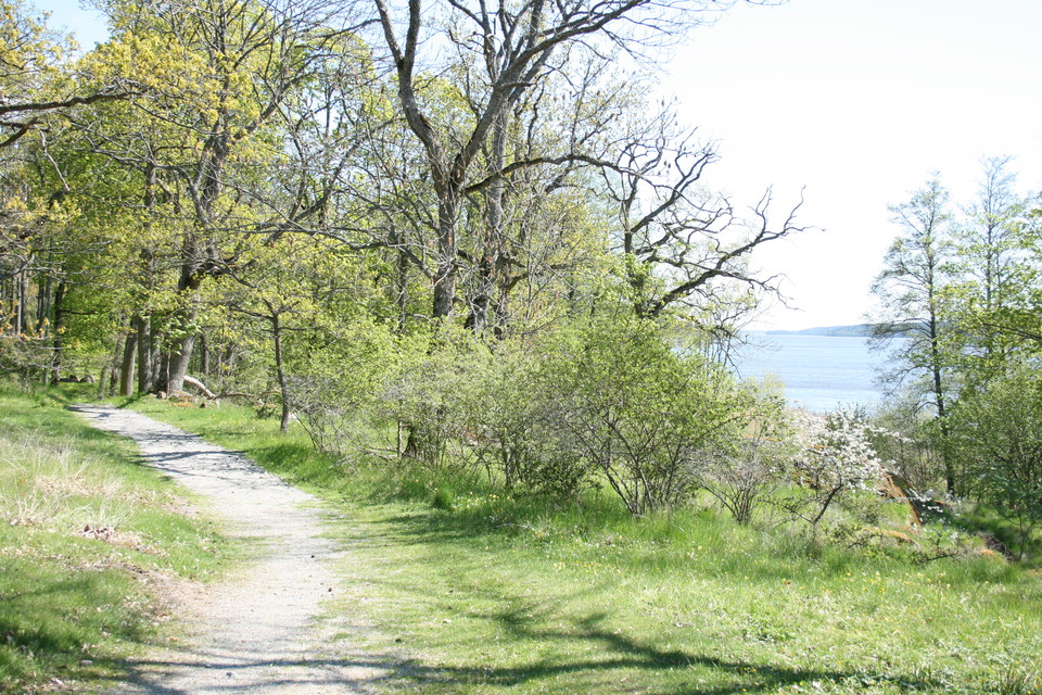 En grusad promenadstig genom naturen. Runtom är det lövskog och på ena sidan syns en stenig strand och vatten.