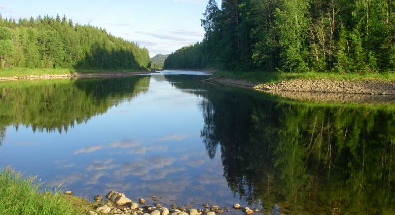 Meåforsens naturreservat.