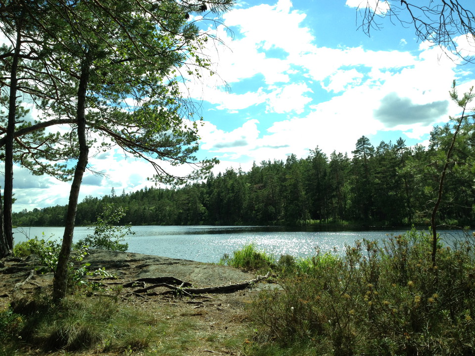 Flera fina platser för fika finns i reservatet