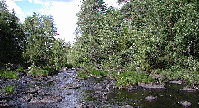 Pauliströmsåns nedre dalgång, Naturreservat