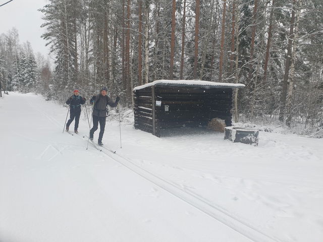 Skinnskattebergs elljusspår