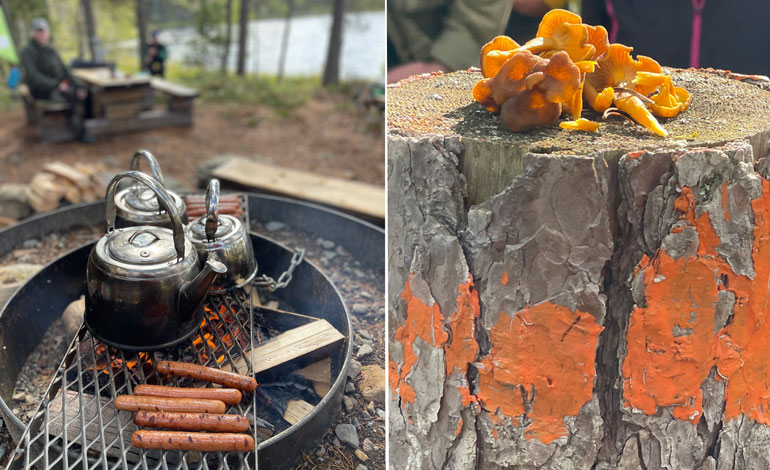 Bild på grillplats med grillgaller och kaffepanna samt plockade kantareller.