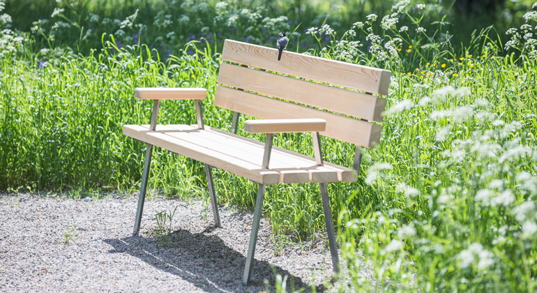 Den här bänken är tillgänglig för alla, även sädesärlor.