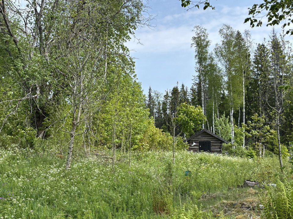 Vy mot Löfmarkens lada
