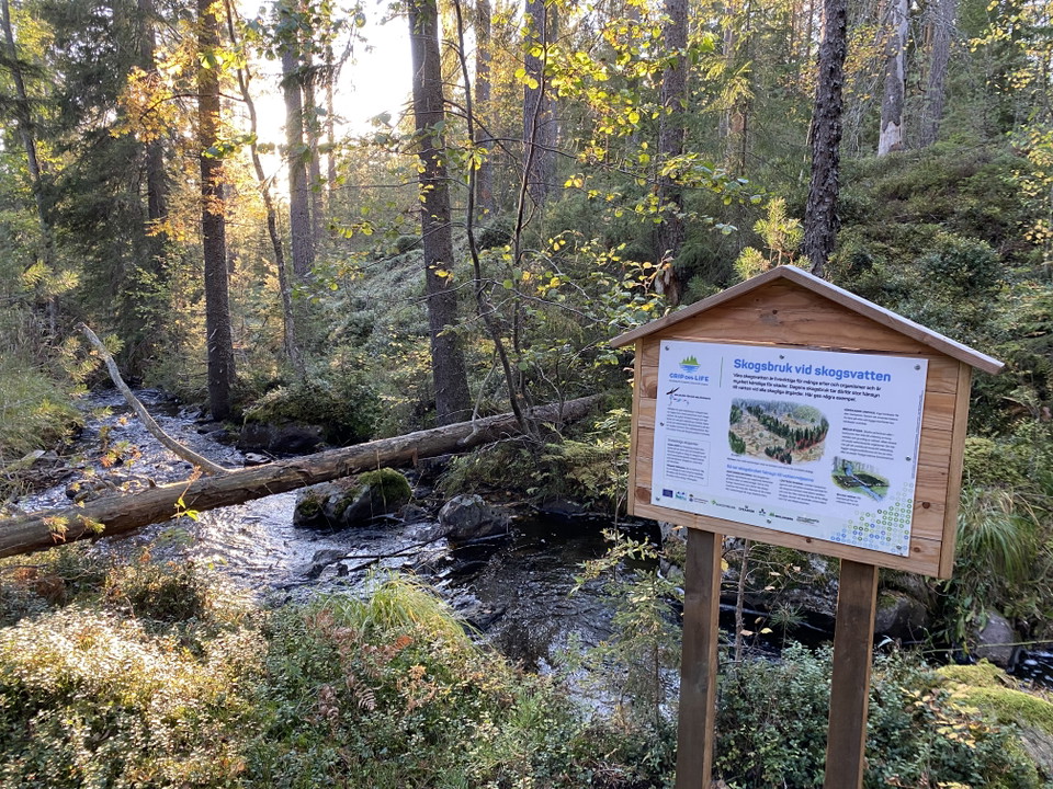 Informationsskylt i vid en bäck i en skog