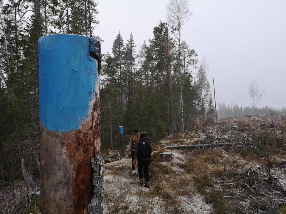 Följ blå markering målad av KG Rudolphi juni 2021