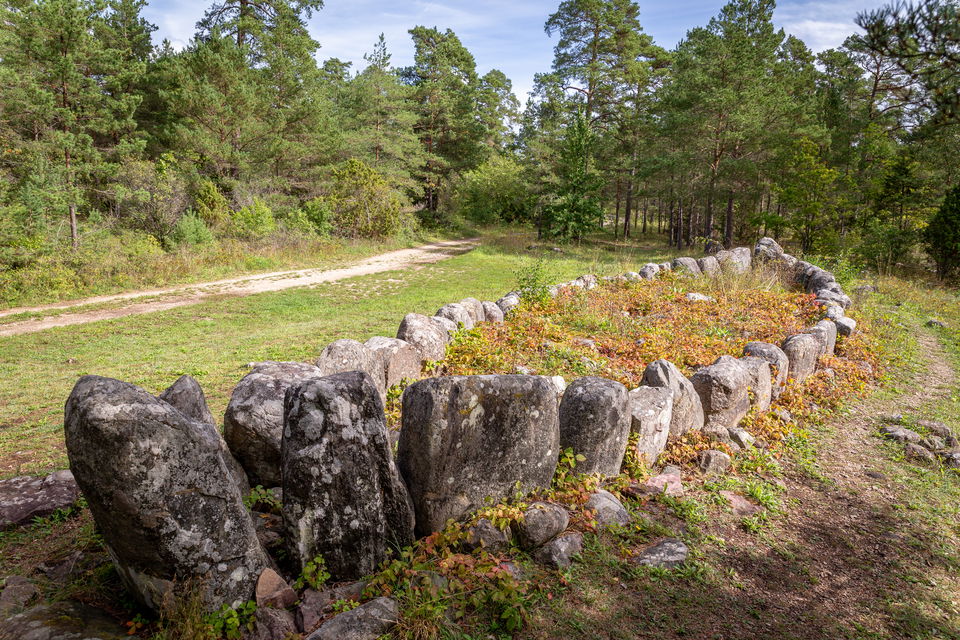 En skeppssättning i skogsmiljö, Flera större stenar placerade i formen av ett smalt skepp.
