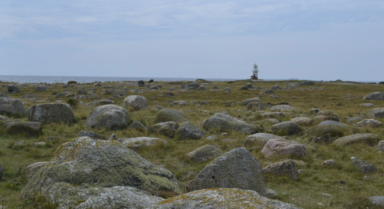 stora stenar i gräset