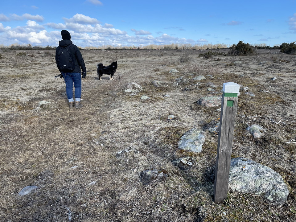 Grön ledmarkering med besökare och hund i bakgrunden