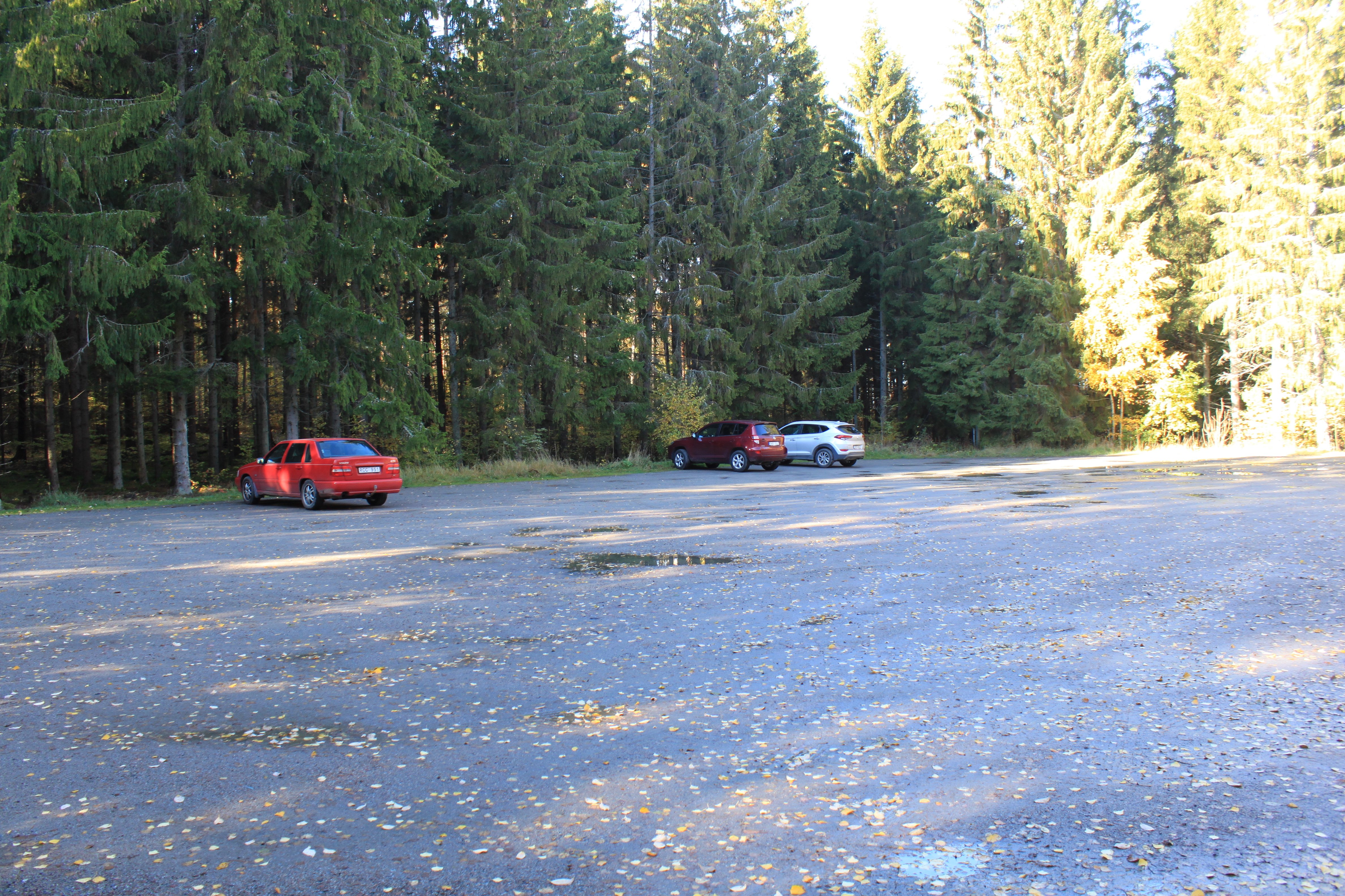 Tre bilar står på en mycket stor grusad parkeringsplats med skog runtom.