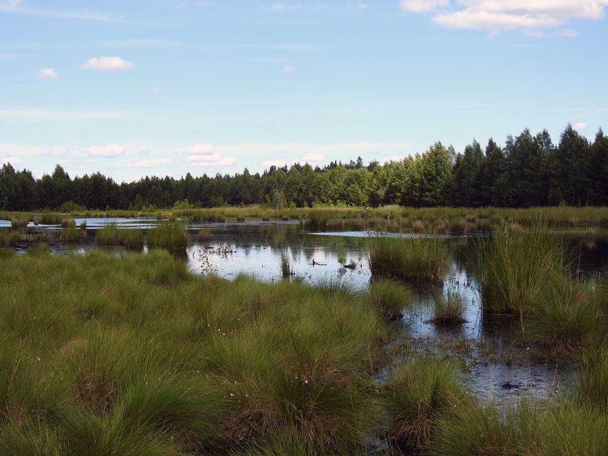 Utsikt över norra sjön. Foto Malin Björn 