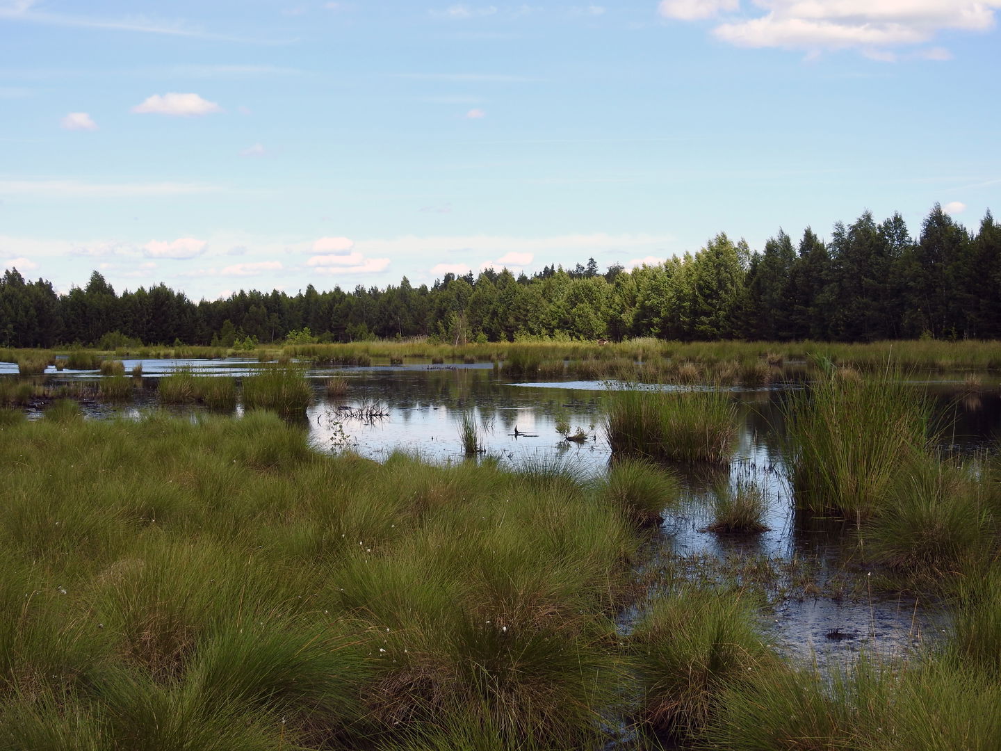 Utsikt över norra sjön. Foto Malin Björn 