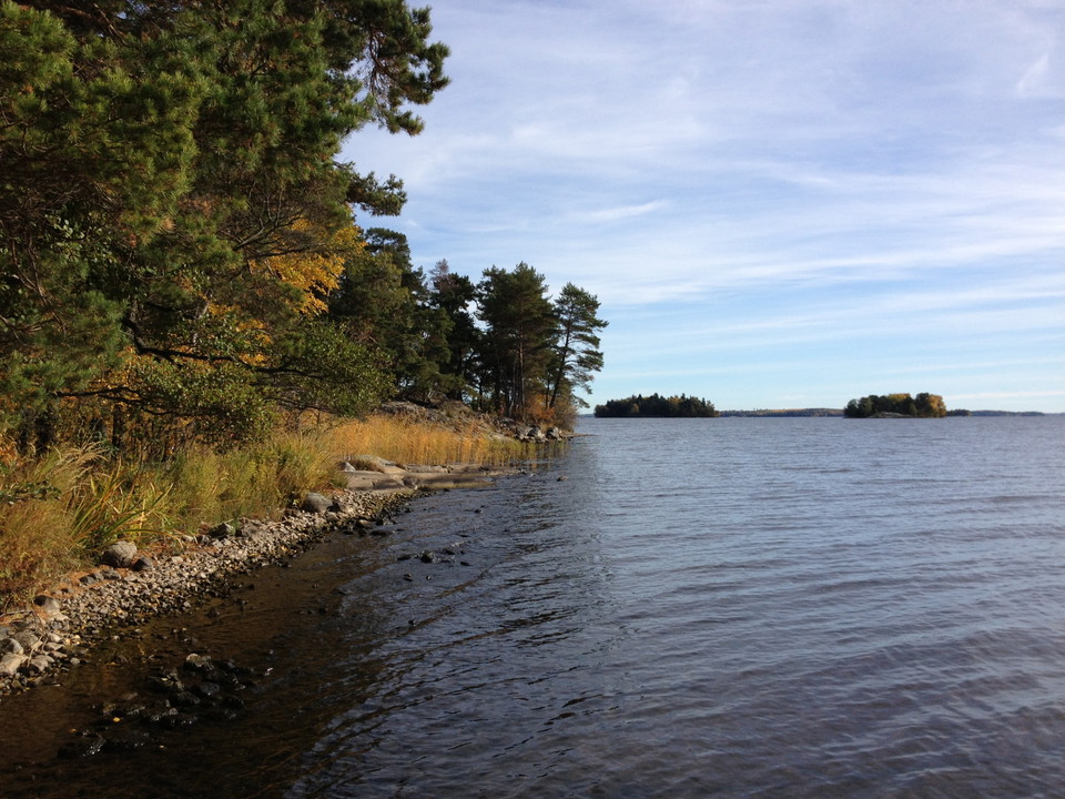 En stenig strandlinje vid en sjö. Vid strandlinjen är det skog och vass.