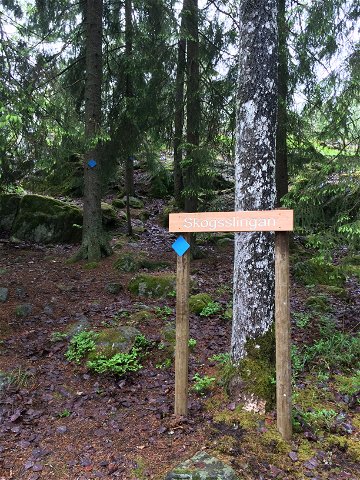 Skogsslingan vid Södertälje Naturskola