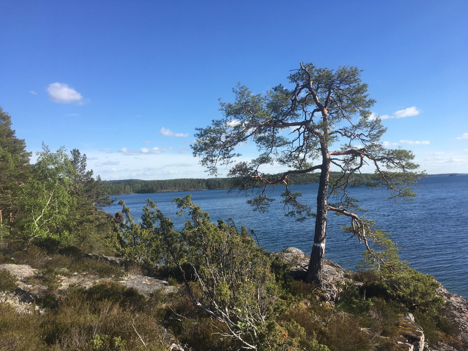 Vårvandra vid Vättern eller Tiveden
