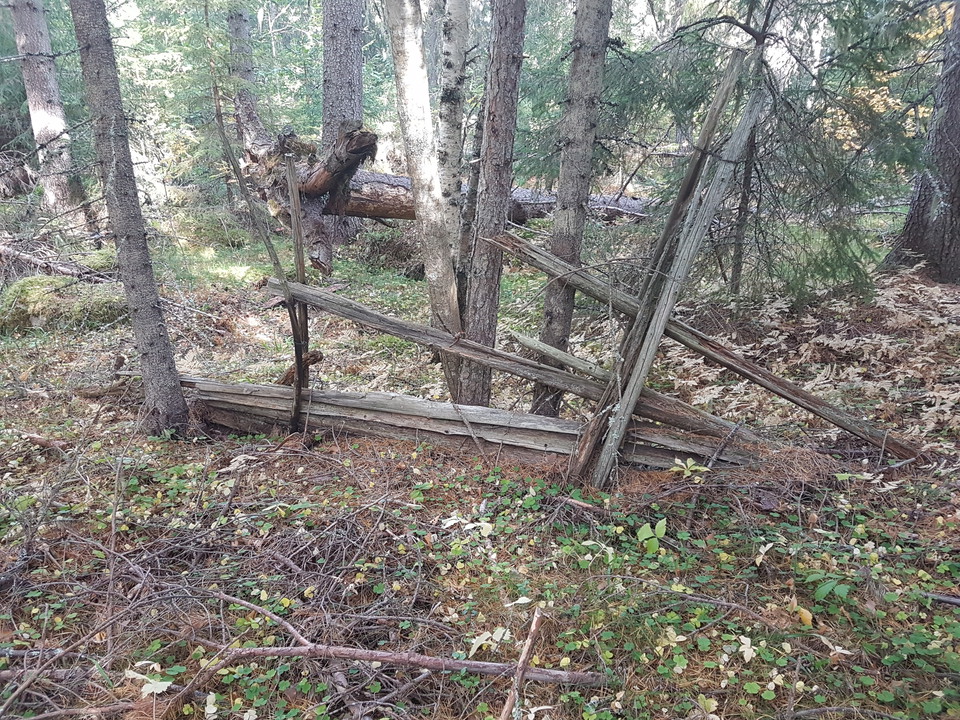 Rester av en gammal järdsgård