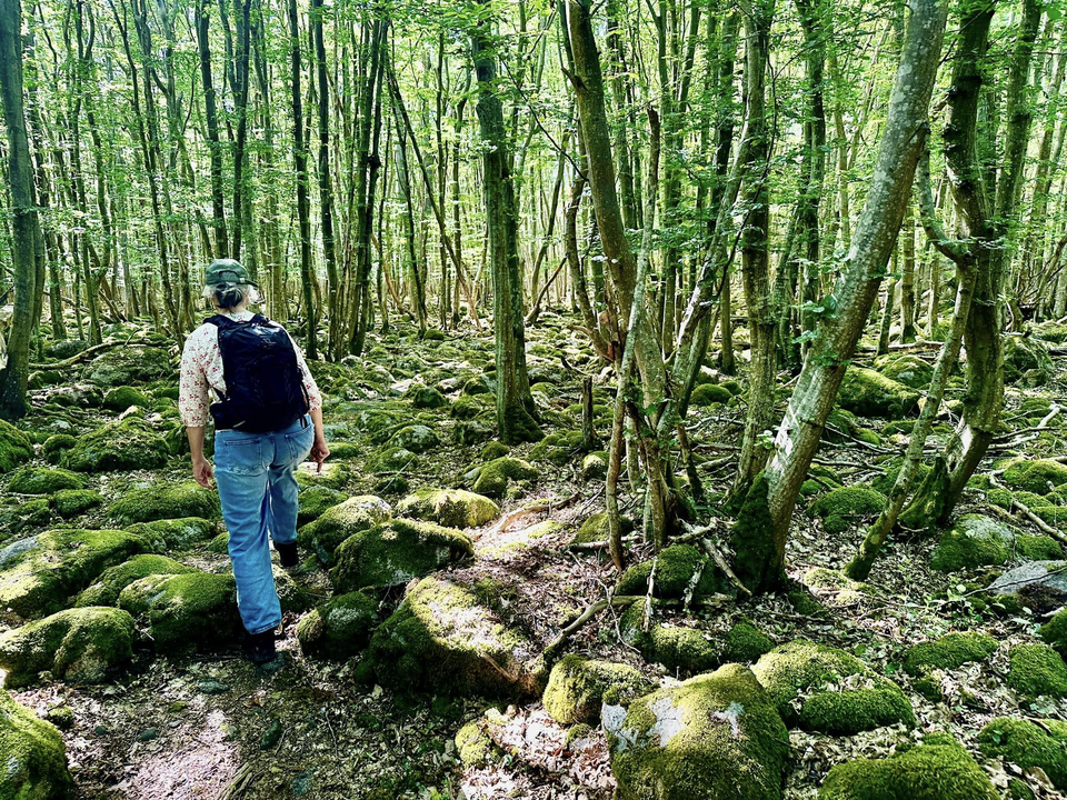 Foto Robert Ekholm