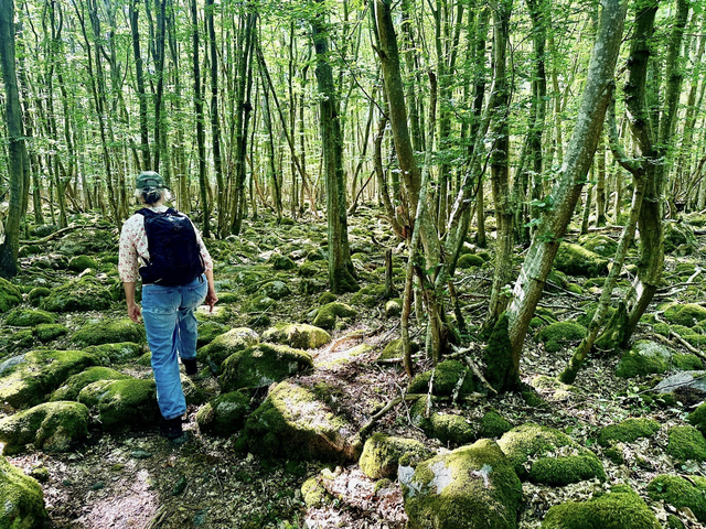 Foto Robert Ekholm