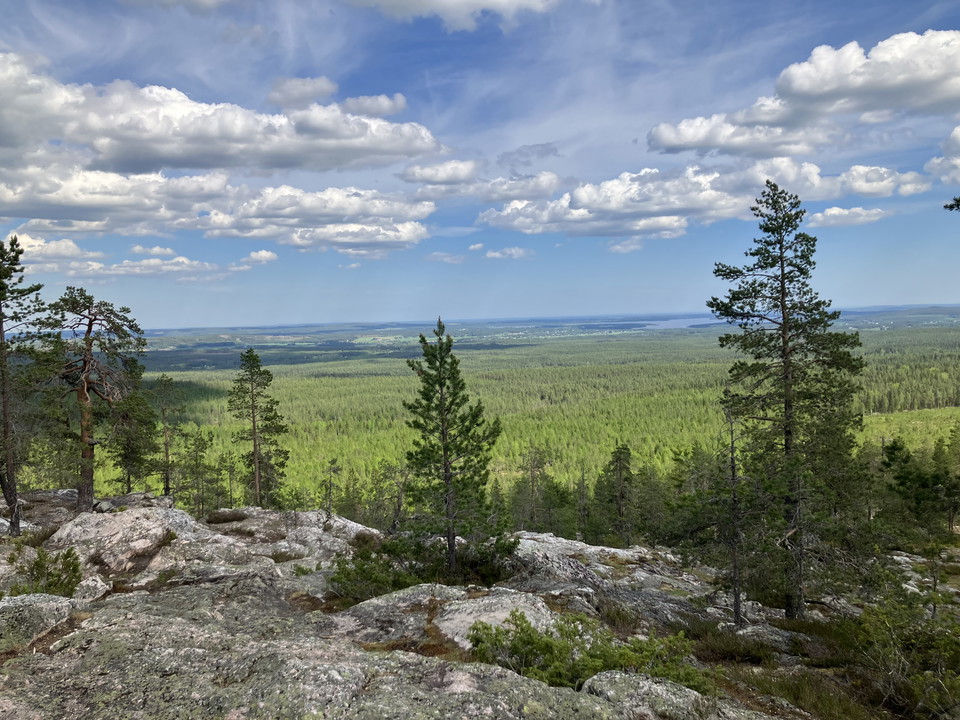 Utsikt från toppen