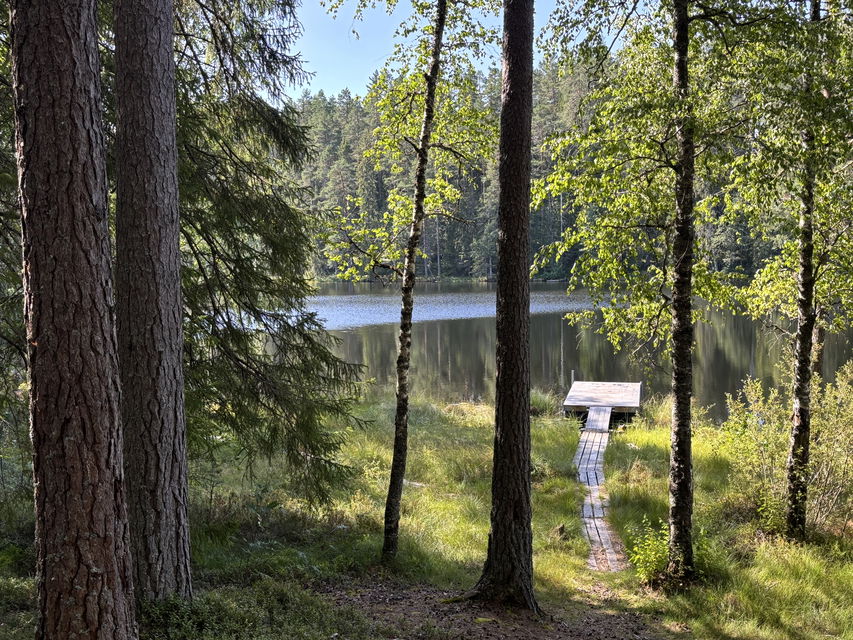 Vy över tjärnen